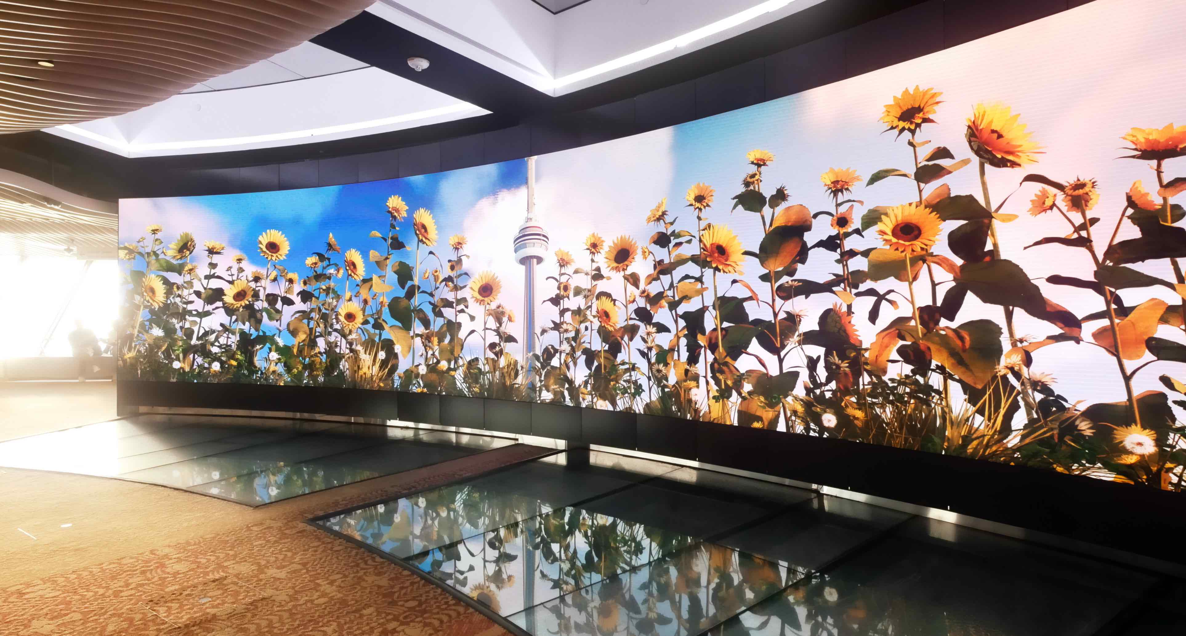 Curved video wall showing sunflowers and the CN Tower against a blue sky, with glass floor panels in front